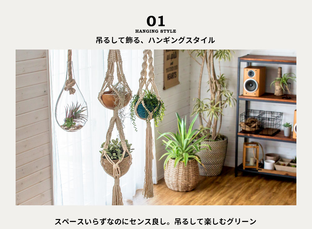 インテリア グリーン ハンギング テラリウム 多肉植物