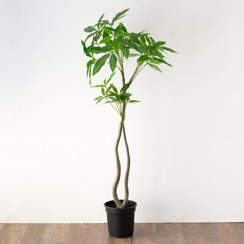 パキラ フェイクグリーン 高さ120cm 造花 観葉植物 [94134