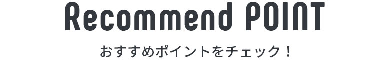 アクセントラグのおすすめポイント