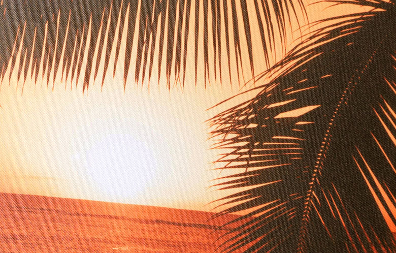 夕暮れに染まるビーチに、ヤシの木の影のコントラストの美しいアート