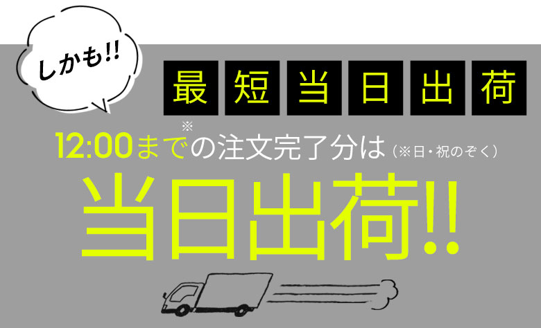 12時までのご注文で当日出荷