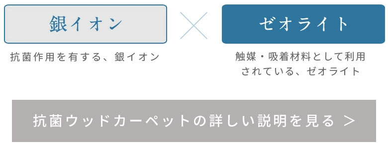 銀イオン。ゼオライト。抗菌作用。触媒・吸着。詳しい抗菌ウッドカーペットの説明はこちら