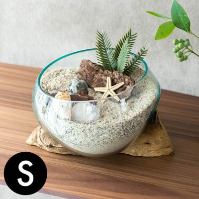 ガラスと流木のプランターオブジェ Sサイズ(12160) 【生活雑貨のELEMENTS本店】