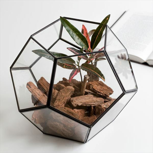 ガラスと真鍮でできた多面体テラリウム ［大］(63140)【生活雑貨の