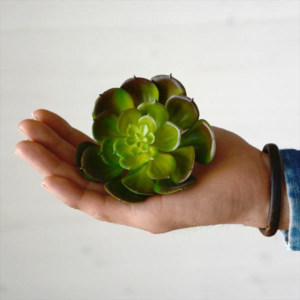 フェイク　多肉植物 Amazon｜多肉植物 造花 寄せ植え ギフト 多肉フェイクグリーン