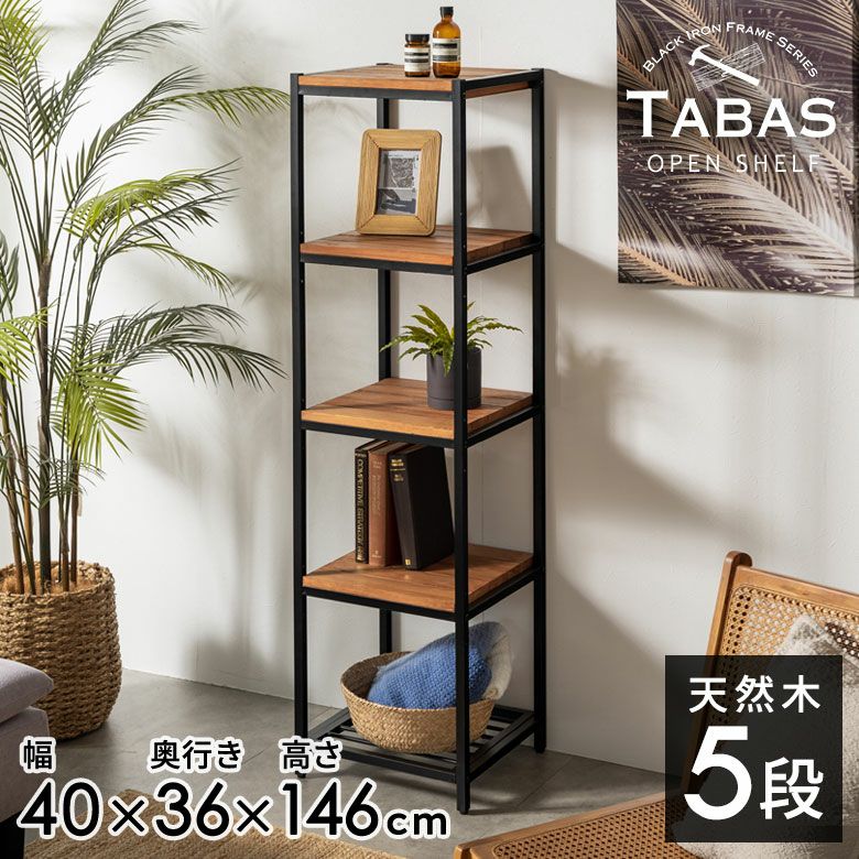 アイアンフレーム 5段 アイアンラック シェルフ スリム タバス TABAS 