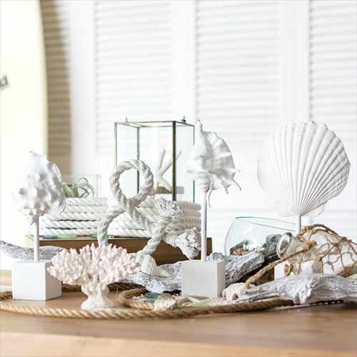 000000000516-07-l.jpg?t=