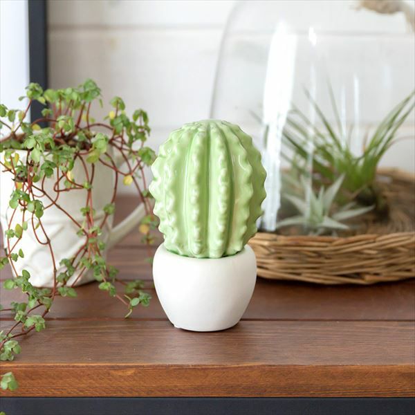 サボテン型のセラミック製 オブジェ [タマサボテン](66071