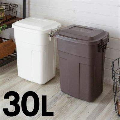 ダウンロック式フタ付きダストボックス ３０Ｌ(91131)【生活雑貨のELEMENTS本店】
