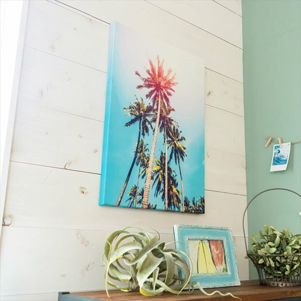 000000000899-12-l.jpg?t=