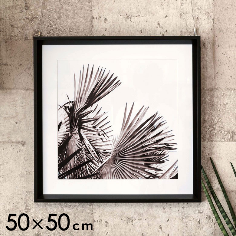 アートパネルモノクロリーフボタニカル50×50cm[66804]【壁掛けインテリアモノトーンアートフレームおしゃれ絵画額入りシュロ葉プランツグリーン写真アートポスター壁飾り絵ウォールアートフォトプリントリビング寝室雑貨西海岸南国正方形】