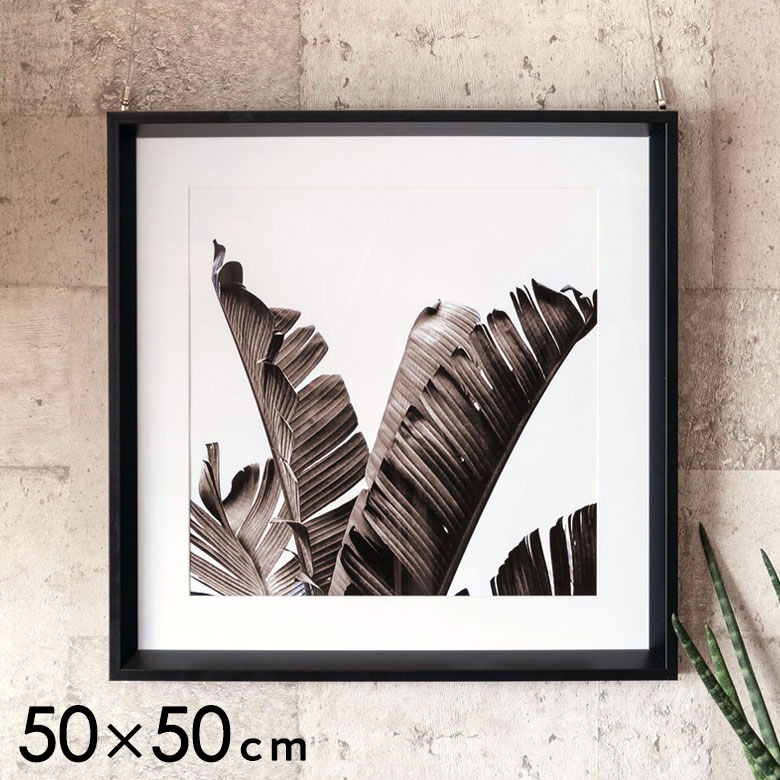 アートフレーム壁掛けインテリアモノトーンリーフ50×50cm[66805]【アートポスター絵画額入りモノクロ写真おしゃれ葉ボタニカルアートパネル壁飾りパームツリーウォールフォトリビング寝室プリント雑貨西海岸ヤシの木南国リゾート正方形】
