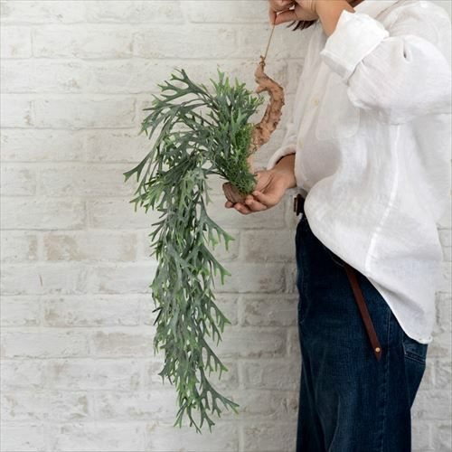 フェイクグリーン 造花 シダ 観葉植物 壁掛け [98900]【 インテリア