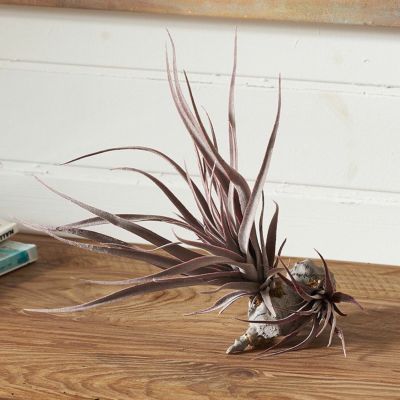 フェイクグリーン チランジア  パープル 養生 着床  観葉植物 フェイク植物 エアプランツ アーティフィシャルプランツ 造花 フェイクプランツ 植物 リーフ 人工観葉植物 リアル アートグリーン ディスプレイ ナチュ
