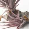 フェイクグリーン造花チランジア観葉植物エアプランツインテリアグリーン雑貨パープルハンギング枝付きかっこいいおしゃれ[98902]