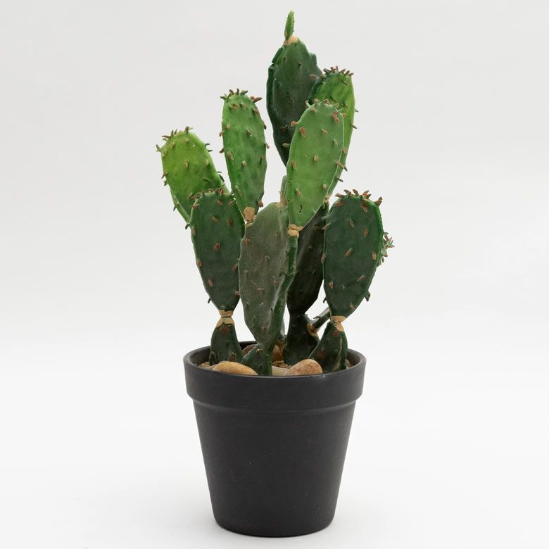 000000001396-02-l.jpg?t=