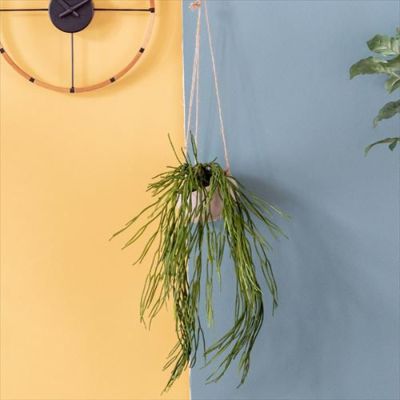 フェイクグリーン 造花 ハンギング ポット付き グリーン  [98909]【 観葉植物 50cm ハンギングポット 陶器 吊り下げ インテリア おしゃれ 】