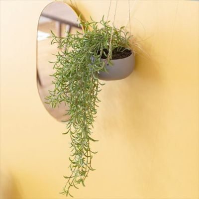 フェイクグリーン 造花 ハンギング ポット付き グリーン  [98910]【 観葉植物 55cm ハンギングポット 陶器 吊り下げ インテリア おしゃれ 】