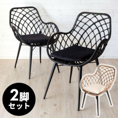 アームチェア BALERINA ラタンチェアー メッシュデザインAタイプ ラタン製 スチール脚 肘掛け 取り外しクッション 座面高39cm 2脚セット 椅子 ダイニングチェア 肘付椅子 ラタン家具 籐椅子 籐 西海岸 リゾート おし