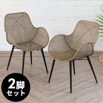 【2脚セット】 チェア ダイニングチェア ラタンチェアー ラタン家具 ラタンチェア ラタン 椅子 ラタン製 アイアン脚 籐 籐椅子 籐家具  [set-13883]【 約 W53 × D59 × H79 メッシュデザイン reCALME おしゃれ リゾ