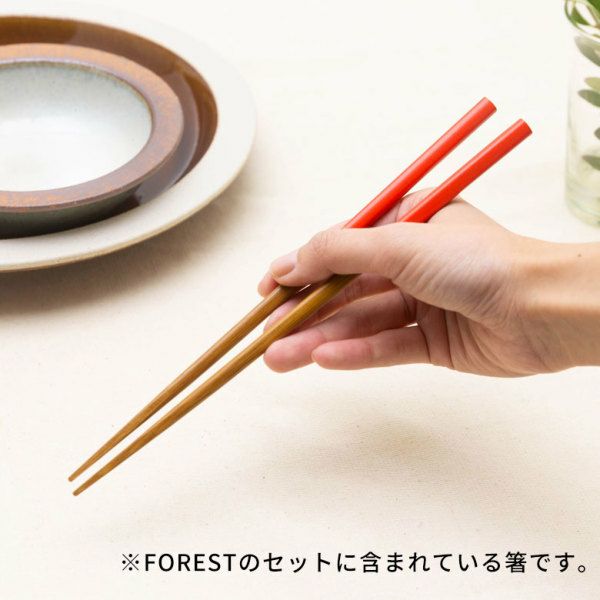 箸 箸セット 6膳 木製 22.5cm [90196]【 天然木 日本製 くすみカラー