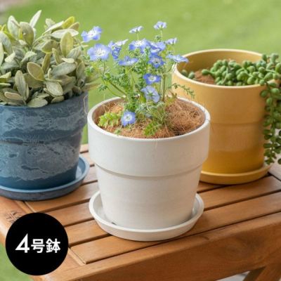 植木鉢 プランツポット 4号鉢 プラスチック 無地 受け皿付き [90308]【 プランター 直径13.5cm 4号 鉢カバー プランターカバー ガーデニング 園芸 花 観葉植物 ベランダ おしゃれ ブラック アイボリー ホワイト ブラ