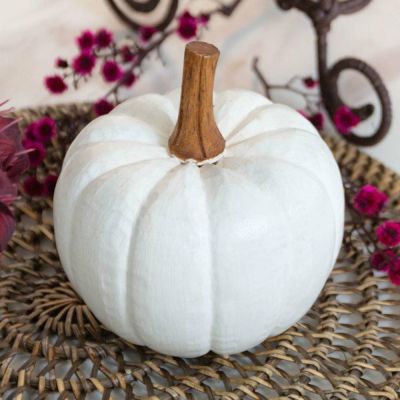 オブジェ パンプキン Mサイズ ホワイト 白 ハロウィン クリスマス W 12cm H 10cm D 13cm  [13964]【 飾り 木彫り DIY かぼちゃ 置き物 デコレーション コーディネート ハンドメイド ナチュラルシック おしゃれ 北欧 