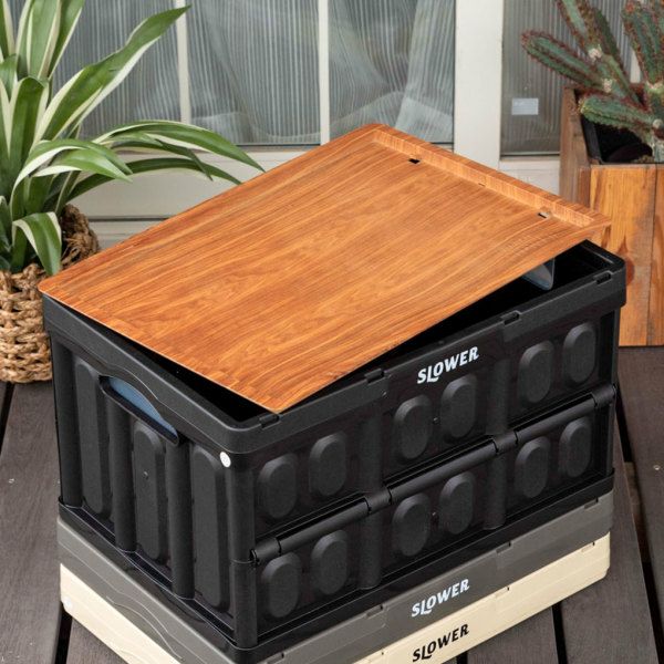 000000002608-01-l.jpg?t=