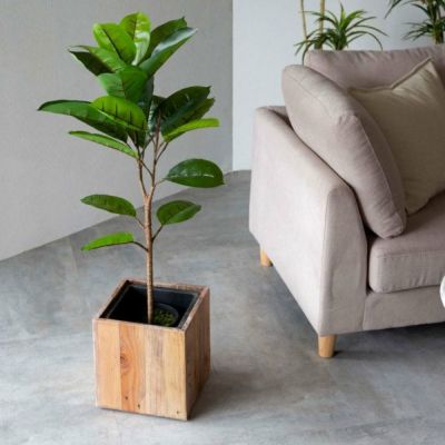 フェイクグリーン ゴムの木 高さ 95cm 鉢付き 観葉植物 グリーン [99089]【 ゴム アーティフィシャルプランツ フェイクプランツ ポット付き ボタニカル インテリア おしゃれ ナチュラル リビング 寝室 玄関 カフェ 