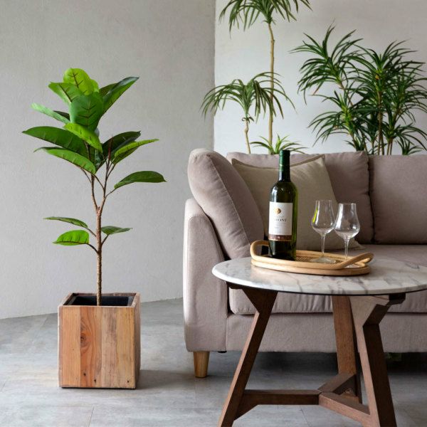 000000002616-04-l.jpg?t=