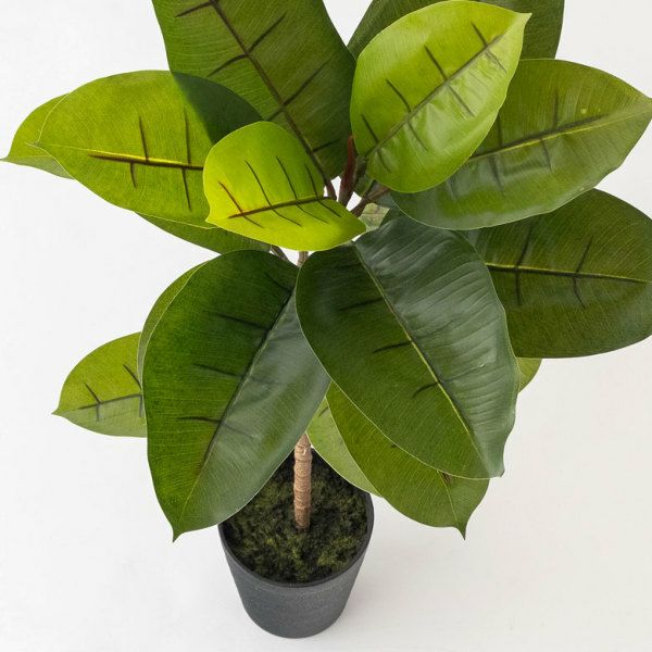 フェイクグリーン ゴムの木 高さ 95cm 鉢付き 観葉植物 グリーン