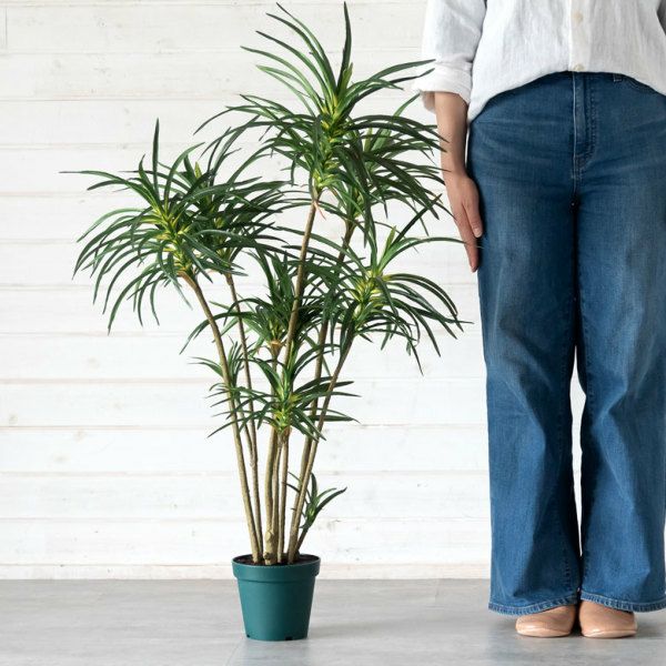 フェイクグリーン ユッカ 高さ 90cm 鉢付き 観葉植物 グリーン