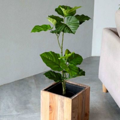 フェイクグリーン フィカス ウンベラータ 高さ 70cm 鉢付き 観葉植物 グリーン [99092]【 アーティフィシャルプランツ フェイクプランツ ポット付き ボタニカル インテリア おしゃれ ナチュラル リビング 寝室 玄関 