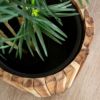 プランターカバーウッドプランターボックスカバーMサイズ7号鉢W36cmD36cmH40cm天然木木製観葉植物アカシアウッド鉢カバープランツボックス植木鉢ウッド店舗用カフェお店レストランおしゃれリゾート西海岸風男前[51284]