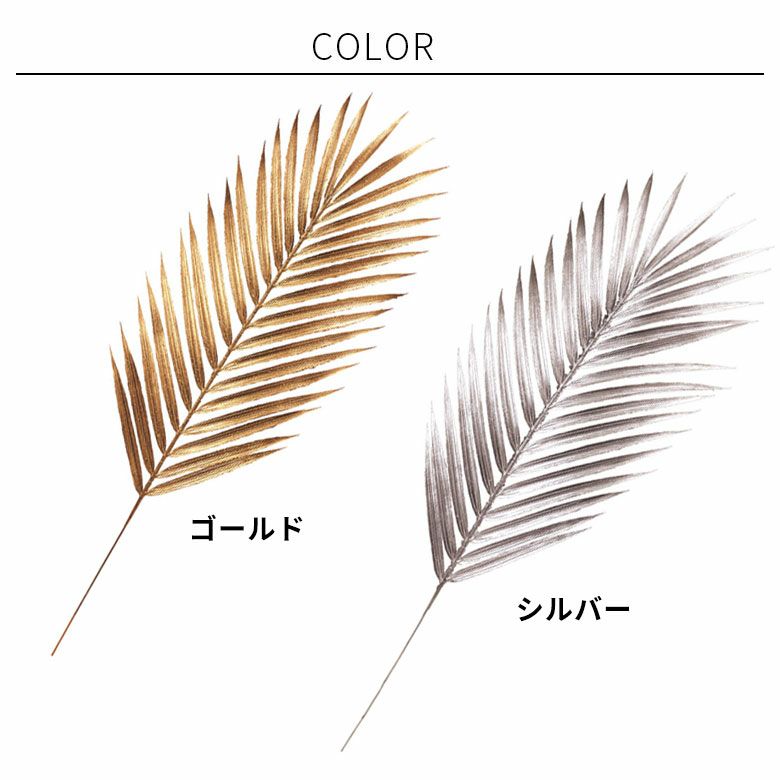 000000002693-04-l.jpg?t=