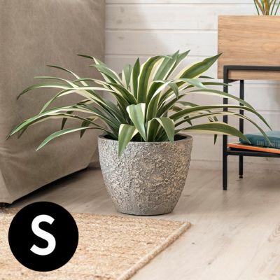 プランター ストーン風 直径 25 cm 高さ 20 cm グレー 酸化マグネシウム [91505]【 鉢 植木鉢 底穴付き 6号 7号 ストーン調 おしゃれ モノトーン モダン エコ素材 マグネシア セメント インテリア エクステリア 屋外