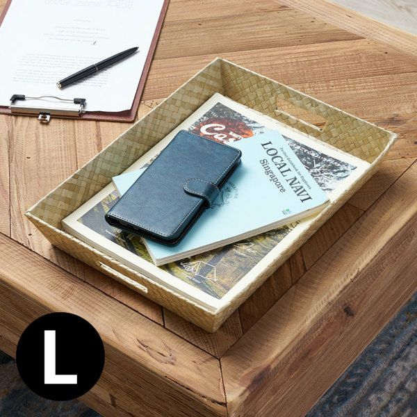 かご バスケット 収納 白樺風 ハンドル付き 18×30cm 浅型タイプ 収納