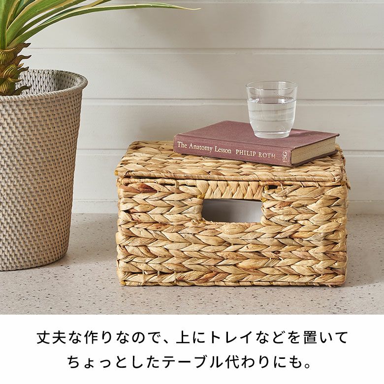 かご バスケット 蓋付き Mサイズ 収納バスケット フタ付き 約 W 33 cm 