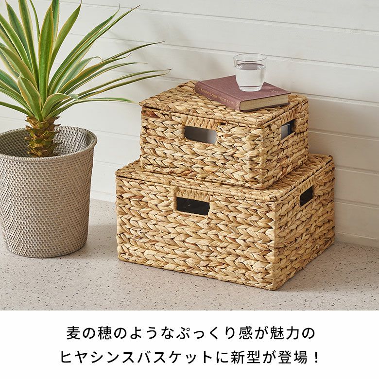 かご バスケット 蓋付き M L 2個セット 収納バスケット 収納ボックス 