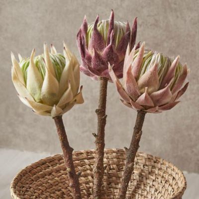 プロテア 造花 アーティフィシャルフラワー フェイクフラワー 高さ 50cm アートフラワー インテリア フラワー 花 花材 飾り コーディネート フラワーアレンジメント ディスプレイ リゾート 南国 おしゃれ 北欧 西海