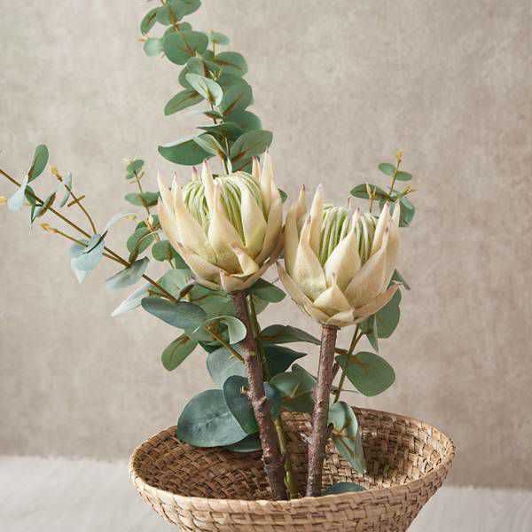 000000003596-05-l.jpg?t=