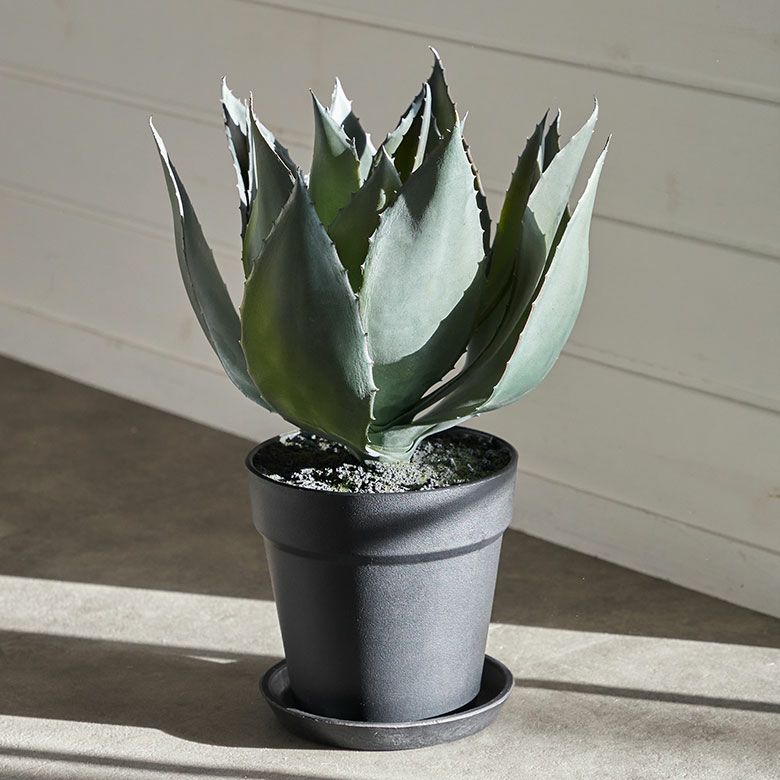 フェイクグリーン アガベ 約 W 28cm D 28cm H 58cm 観葉植物 グリーン