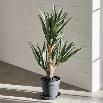 フェイクグリーン アガベ 約 W 28cm D 28cm H 58cm 観葉植物 グリーン 高さ32cm リュウゼツラン フェイクプランツ ポット付き 造花 アートグリーン ディスプレイ おしゃれ ボタニカル リビング インテリア カフェ 店