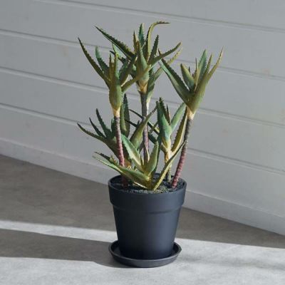 フェイクグリーン キダチアロエ アロエ 高さ 42cm 観葉植物 グリーン アーティフィシャルプランツ フェイクプランツ 多肉植物 造花 アートグリーン ディスプレイ ナチュラル 5号鉢 リビング 寝室 玄関 リゾート おし