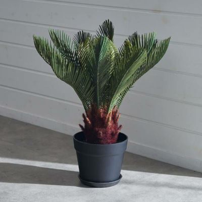 フェイクグリーン ソテツ 高さ 47cm 観葉植物 グリーン アーティフィシャルプランツ フェイクプランツ 人工観葉植物 造花 アートグリーン ディスプレイ オブジェ ナチュラル 5号鉢 リビング 寝室 玄関 リゾート おし