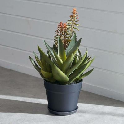 フェイクグリーン アロエ 高さ 42cm 観葉植物 グリーン フラワー 花 アーティフィシャルプランツ フェイクプランツ 多肉植物 造花 アートグリーン ディスプレイ ナチュラル 6号鉢 リビング 寝室 玄関 リゾート おし