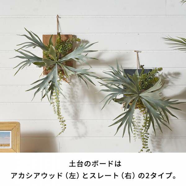壁掛け ハンギング おしゃれ 壁 Brown. 🎆 ブラウン 【コットン】 フェイクグリーン ビカクシダ ウォールハンギング アカシア 30
