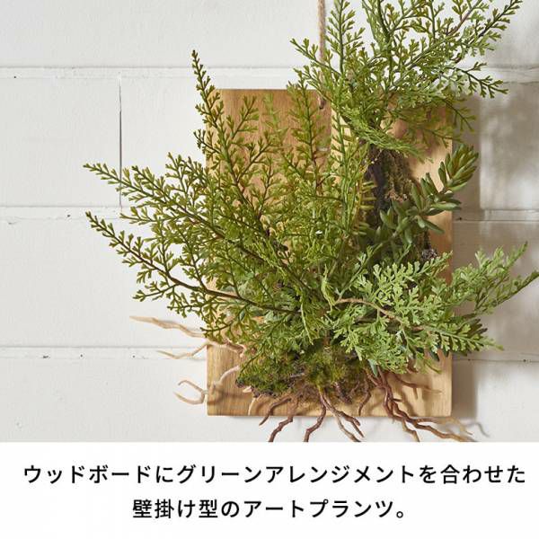 フェイクグリーン ウォールハンギング ファーン シダ アカシア フェイクグリーン ウォールハンギング ファーン シダ アカシア