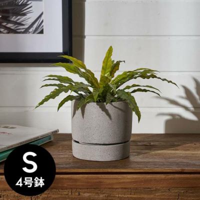 植木鉢 ポリストーン ストーン調 セメント調 4号鉢 受皿 底穴あり 小型 Sサイズ 約 W 12.5cm D 12.5cm H 12cm グレー プランターポット 鉢カバー 植木鉢カバー プランターカバー 店舗用 おしゃれ カフェ 北欧 観葉植