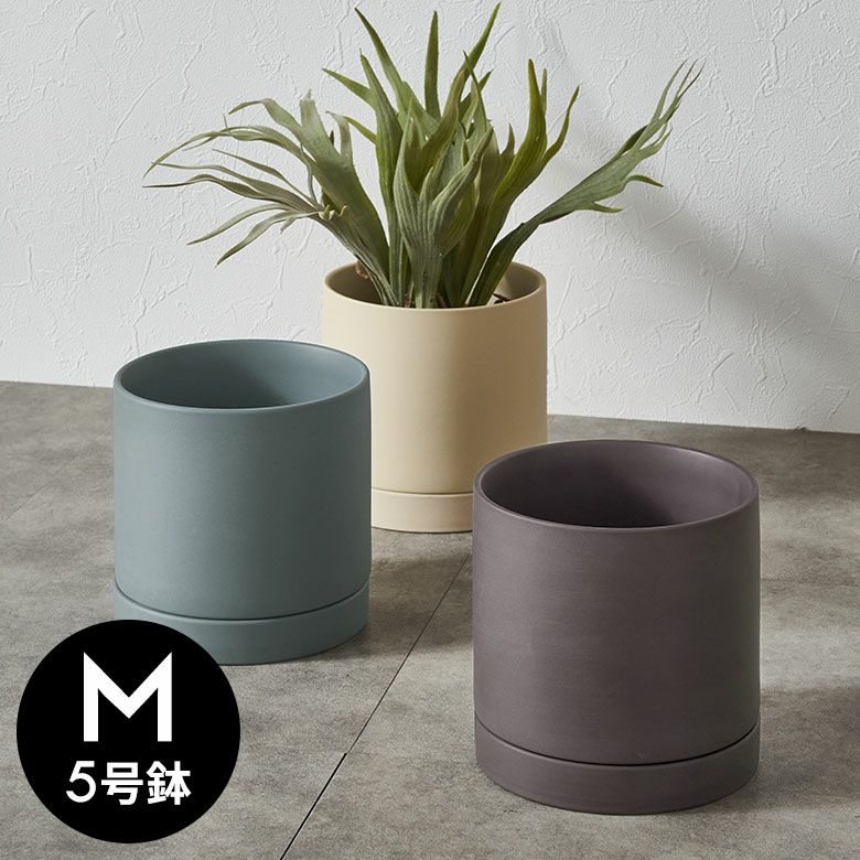 植木鉢 陶器 マット 5号鉢 受皿 底穴あり 中型 Mサイズ 約 W 15cm D 